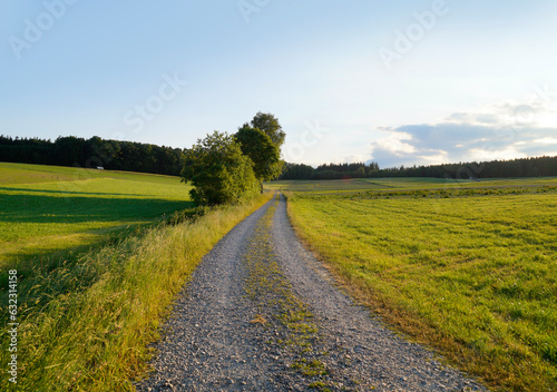 endless road leading through the green fields of the Bavarian countryside by the Birkach village on a sunny summer evening with fluffy white clouds (Birkach, Bavaria, Germany)	 photo