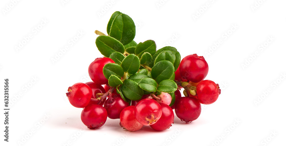 Lingonberry with leaves, isolated on white background. Lingonberry with leaves, isolated on white background.