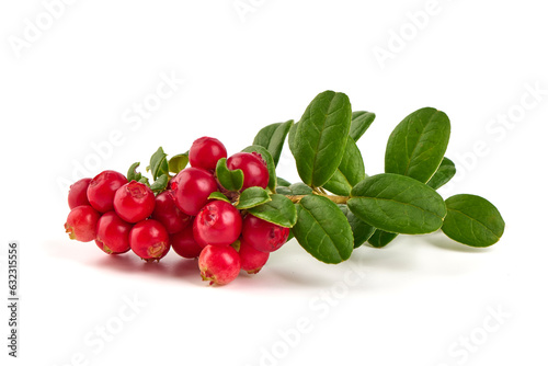 Lingonberry with leaves, isolated on white background.