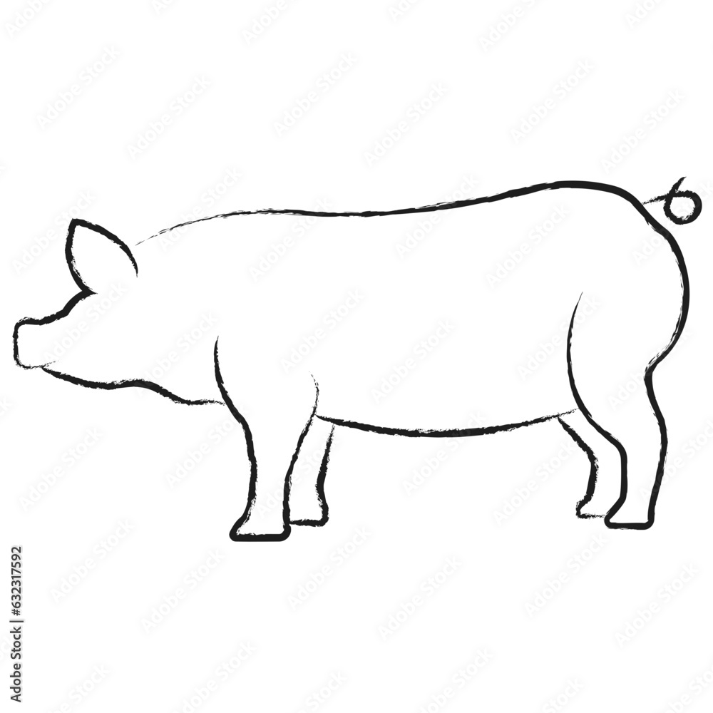 Fototapeta premium Vector hand drawn Pig illustration