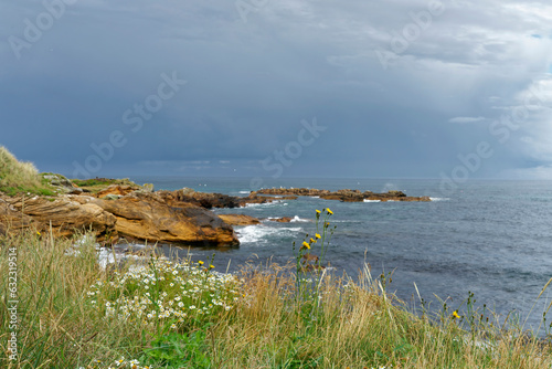 the coast of the sea