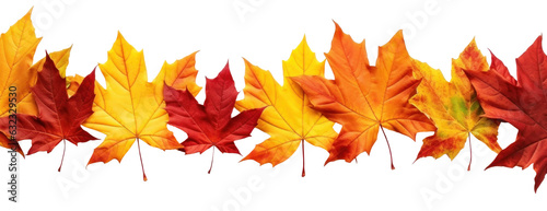 Autumn leaves border isolated