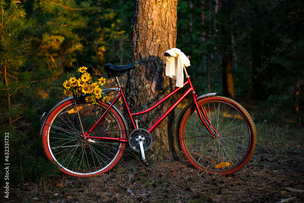 Red retro bicycle with beige shawl bow on the handlebar and yellow flowers clamped to the back child's seat. Bike is leaned to the pine tree trunk in forest. Red tires and silver shields on wheels