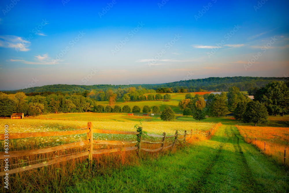 Fototapeta premium landscape in autumn