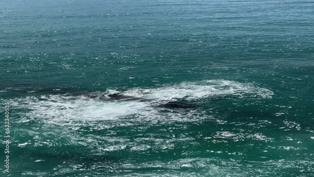 sea stormy waves, aerial view, vertical video. sea stormy waves, aerial view, vertical video.