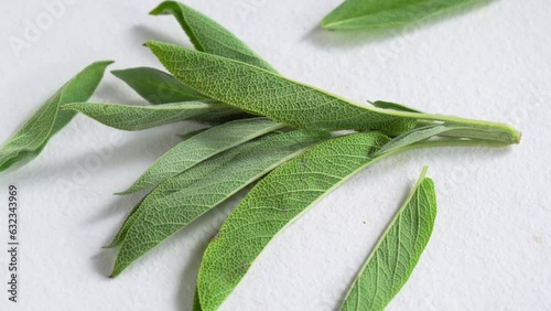 Cut green sage on white plate rotation photo