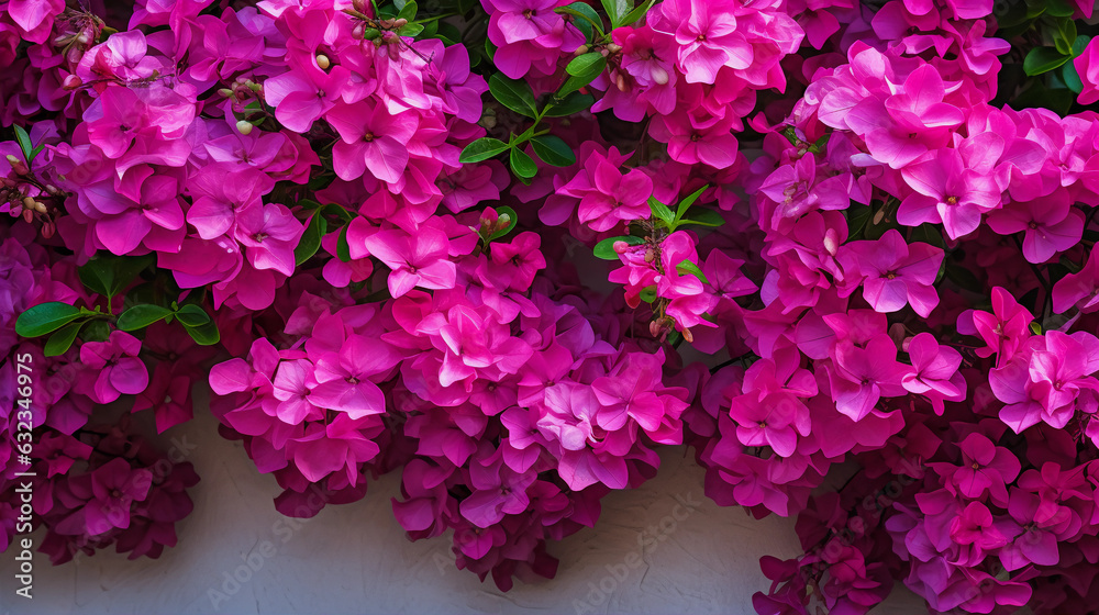 Bougainvillea Majesty: Spring Garden Splendor. The splendid majesty of bougainvillea flowers flourishing in a photorealistic spring garden. capturing attention and allure. Generative ai Bougainvillea Majesty: Spring Garden Splendor. The splendid majesty of bougainvillea flowers flourishing in a photorealistic spring garden. capturing attention and allure. Generative ai