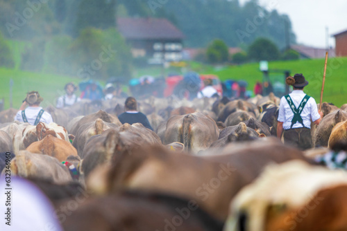 Viehscheid im Allgäu - Kühe - Herde - Regen - Nebel - Almabtrieb photo