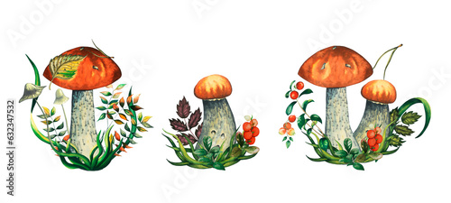 Fototapeta Naklejka Na Ścianę i Meble -  Set of three compositions with watercolour wild forest leccinum aurantiacum red edible mushroom with leaves, toadstools, blueberry branch, cranberry, lingonberry, grass and pine needle. Isolated hand