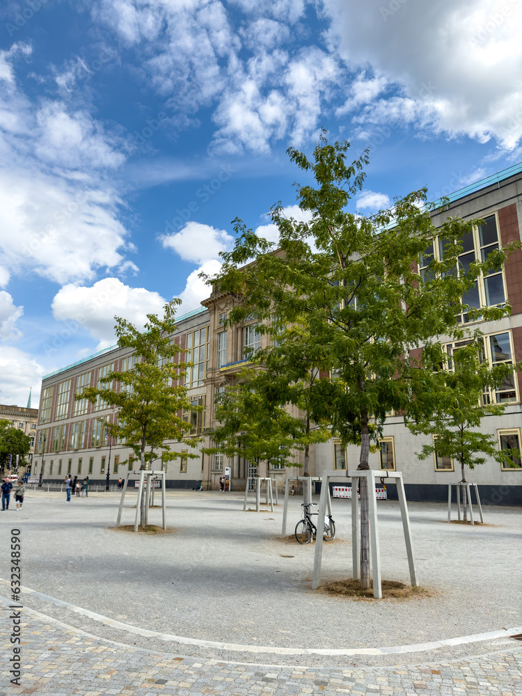 Naklejka premium Trees near Berlin City Palace (Berliner Schloss)