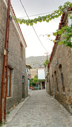 Beautiful old street paved with stones, turkish traditional village houses on both sides, green mountains in the background - Tepekoy - Gokceada - Canakkale, Turkey photo