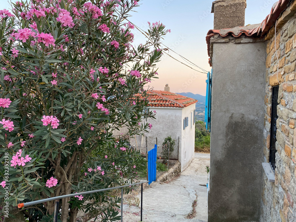 Fototapeta premium aegean coast, aegean islands, aegean turkey, aegean villages, agios georgios, agios theodoros, agridia gokceada, ancient, architecture, building, cafe, canakkale, city, destination, gokceada, greek, g