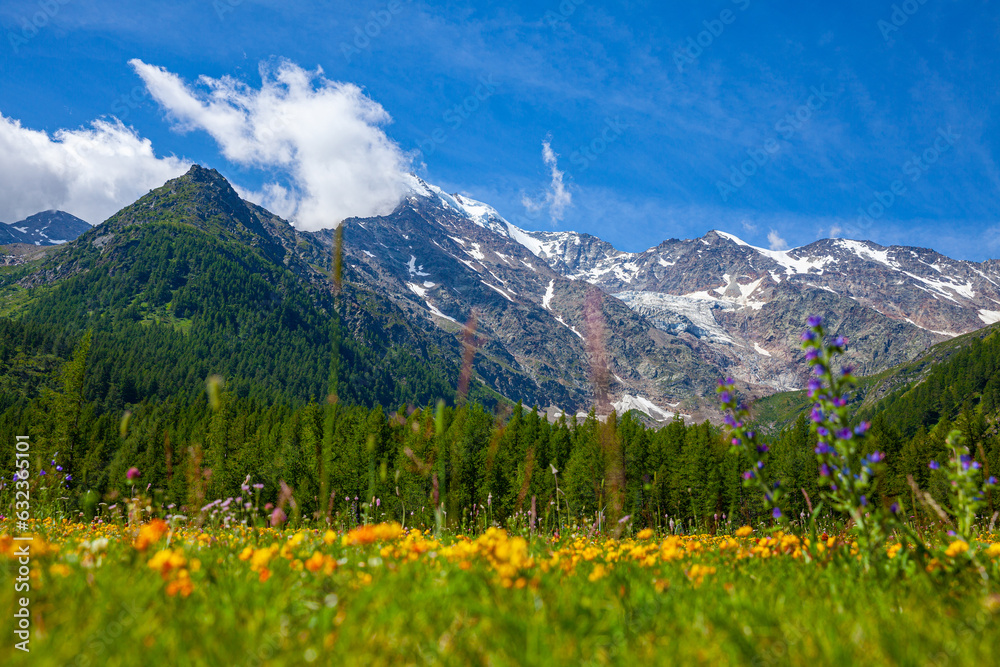 Fototapeta premium Scenic view from the Simplon pass in Switzerland