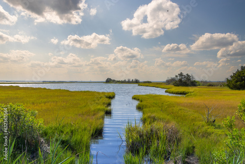Fototapeta Naklejka Na Ścianę i Meble -  landscape with lake and sky. 