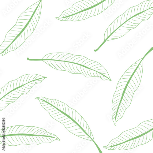 Green mango leaves line art on white background.Seamless leaf background, book cover template, natural backdrop, green leaf element. Close up. Plant wallpaper,Summer tree, © Maneerat