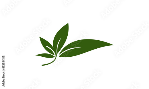 green plant isolated on white background