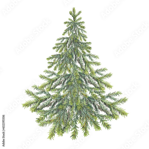 Watercolor green christmas tree isolated on white background. Forest evergreen fir or pine for sticker or card. Realistic hand-drawn clipart for new year celebration invite or wrapping wallpaper © NatashaKun