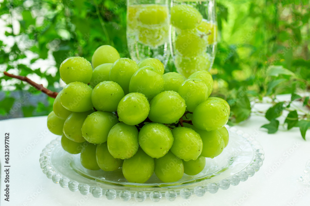 シャインマスカット2