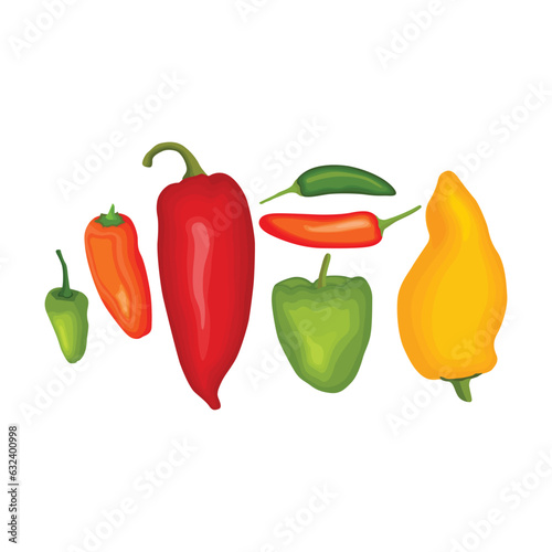 Vector illustration of red or green chili pepper realistic in flat cartoon style. Sliced chili pepper variations lay on white background with shadow for labels and logo design. Single or group chili