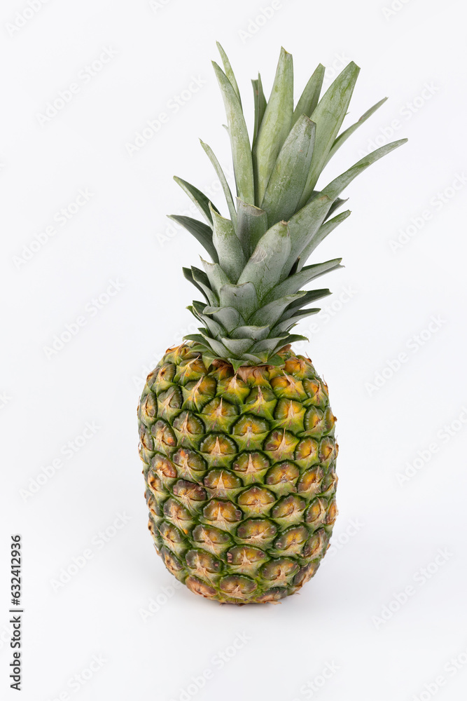 pineapple, 파인애플