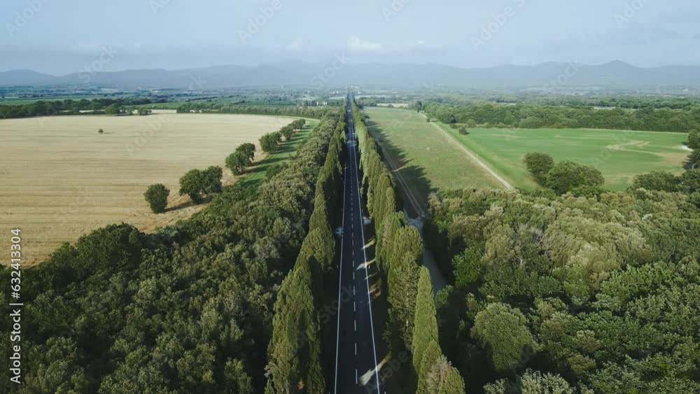 Tuscan road lined with old cypress trees, italian countryside, drone