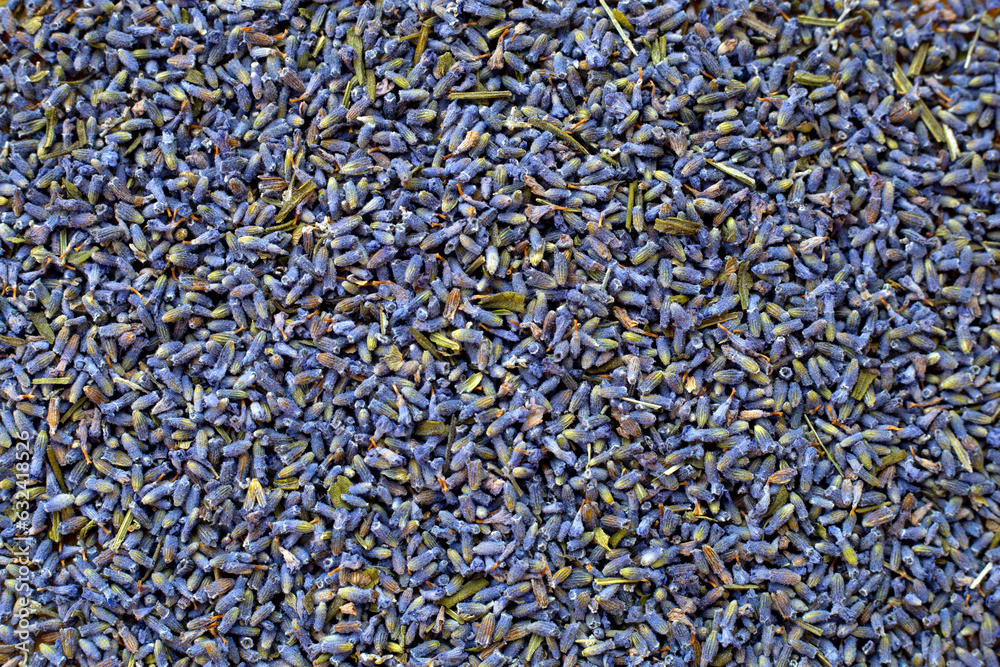 Dried lavender flowers. Close up Dried lavender flowers. Close up