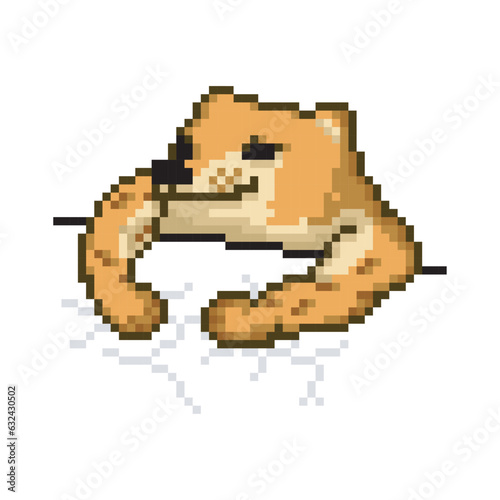 Muscle dog, pixel art meme