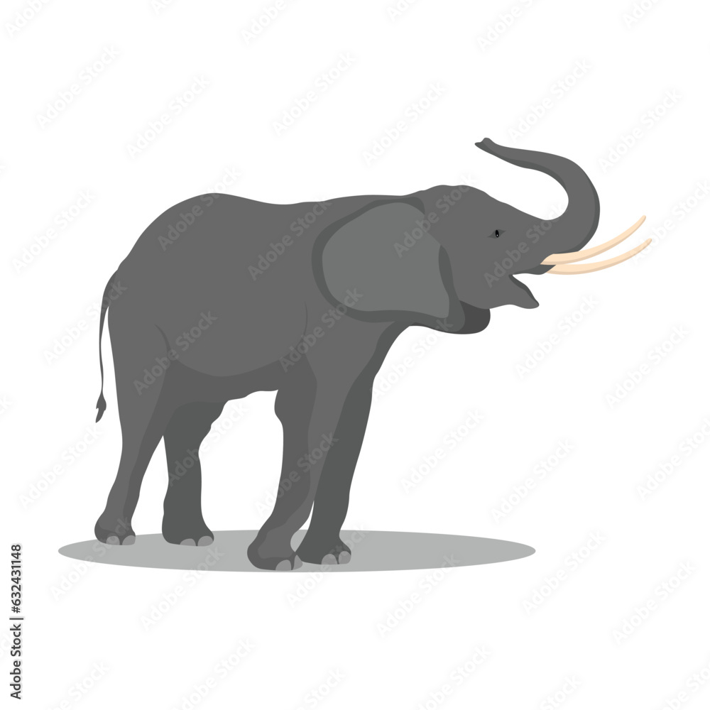 Fototapeta premium Vector illustration african elephant. Female and male african-asian savanna elephant in different poses. Wild animal of big mammal animal africa in cartoon flat style.