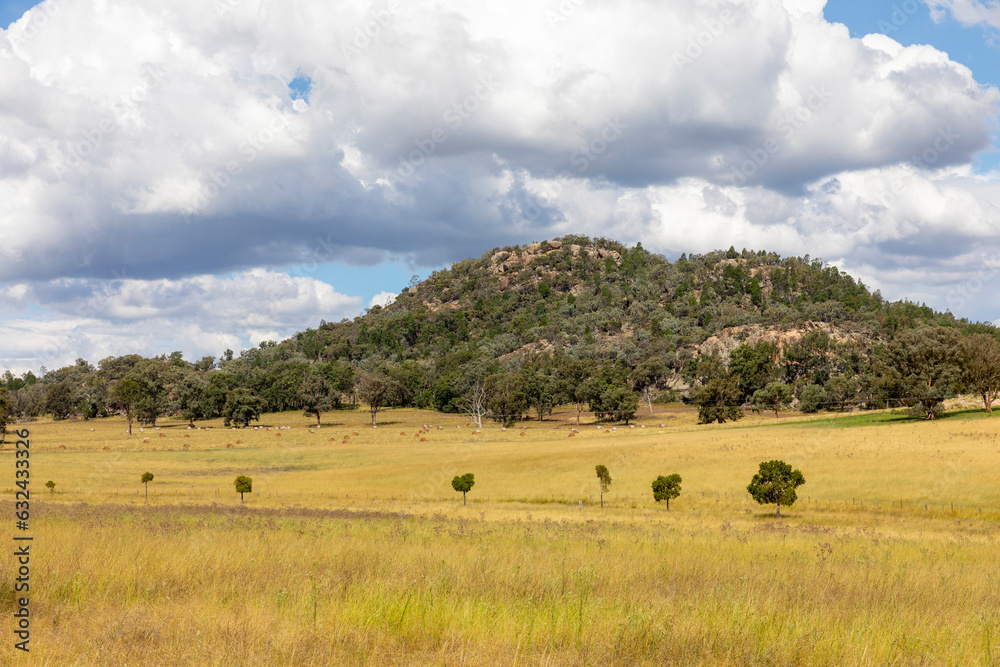 Rural landscape around Mudgee in New South Wales Australia