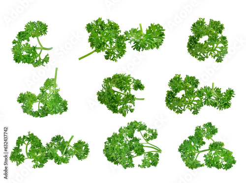 parsley transparent png