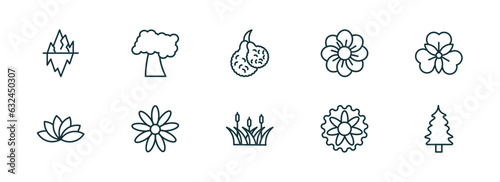 set of 10 linear icons from nature concept. outline icons such as iceberg, black cherry tree, bergamot, reed, aster, eastern redcedar tree vector