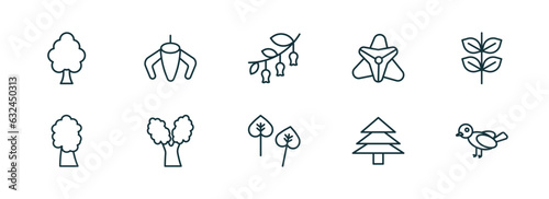 set of 10 linear icons from nature concept. outline icons such as american elm tree, ylang-ylang, hawthorn, poplar, pine tree, bird vector