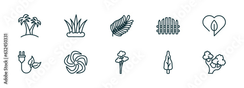 set of 10 linear icons from nature concept. outline icons such as palm islands, grass leaves, fern, quaking aspen tree, arborvitae tree, northern red oak tree vector