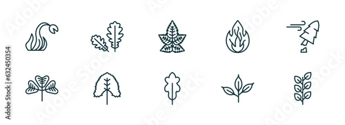 set of 10 linear icons from nature concept. outline icons such as carnivorous plant, pedunculate, liquidambar leaf, oak leaf, cherry leaf, bilberry vector