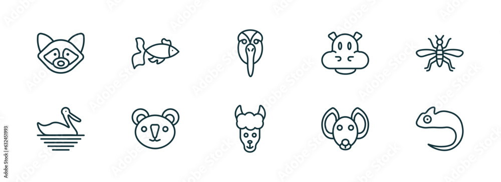 set of 10 linear icons from animals concept. outline icons such as raccoon, gold fish, albotros, lama, hyena, chameleon vector set of 10 linear icons from animals concept. outline icons such as raccoon, gold fish, albotros, lama, hyena, chameleon vector