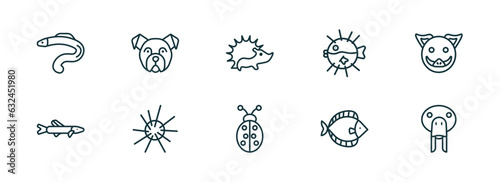 set of 10 linear icons from animals concept. outline icons such as moray, bulldog, hedgehog, ladybug, flounder, sea cow vector