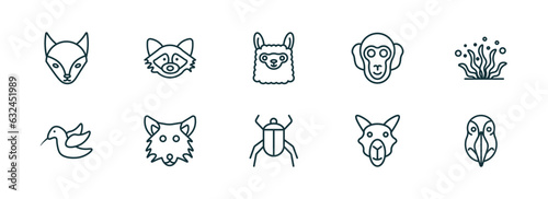 set of 10 linear icons from animals concept. outline icons such as fox, racoon, llama, beetle, camel, deadlock vector