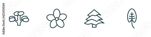 set of 4 linear icons from nature concept. outline icons included pitch pine tree, oleander, balsam fir tree, spear shaped vector