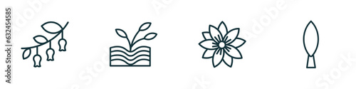set of 4 linear icons from nature concept. outline icons included hawthorn, plant growing on book, hypericum, cypress vector