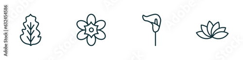 set of 4 linear icons from nature concept. outline icons included peppermint, freesia, lily, protea vector