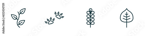 set of 4 linear icons from nature concept. outline icons included perfoliate, four toe footprint, pecan leaf, cercis leaf vector