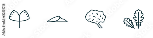 set of 4 linear icons from nature concept. outline icons included ginkgo, dune, human brian, pedunculate vector