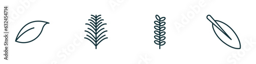set of 4 linear icons from nature concept. outline icons included orange leaf, yew leaf, acacia, magnolia leaf vector