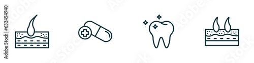 set of 4 linear icons from medical concept. outline icons included epidermis, antibiotic, molar, dermis vector