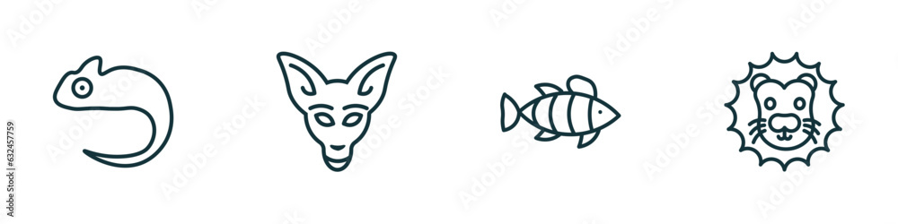 set of 4 linear icons from animals concept. outline icons included chameleon, kangaroo, clown fish, lion head vector set of 4 linear icons from animals concept. outline icons included chameleon, kangaroo, clown fish, lion head vector