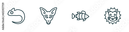 set of 4 linear icons from animals concept. outline icons included chameleon, kangaroo, clown fish, lion head vector