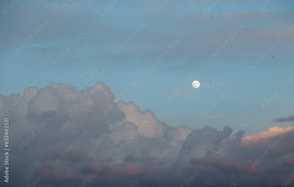 Beautiful cumulus clouds float across the evening sky with the setting sun on a warm summer evening. Concept natural background