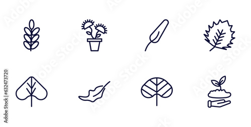 set of nature thin line icons. nature outline icons such as acacia, carnivorous plant, birch leaf, linden leaf, dry leaf, reniform, seeding vector.