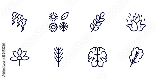 set of nature thin line icons. nature outline icons such as damaged, season, burning flames, palmatelly, pine leaf, human brian, oak leaf vector. photo