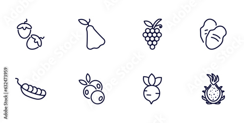 set of vegetables and fruits thin line icons. vegetables and fruits outline icons such as hazelnut, rose, tuber, pea, blueberry, radish, dragon fruit vector.
